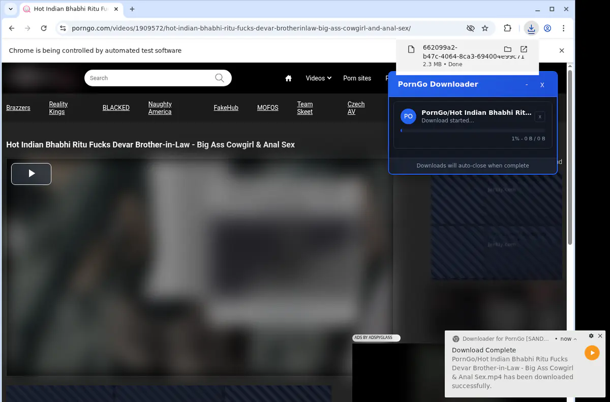 Porngo Video Downloader screenshot 2