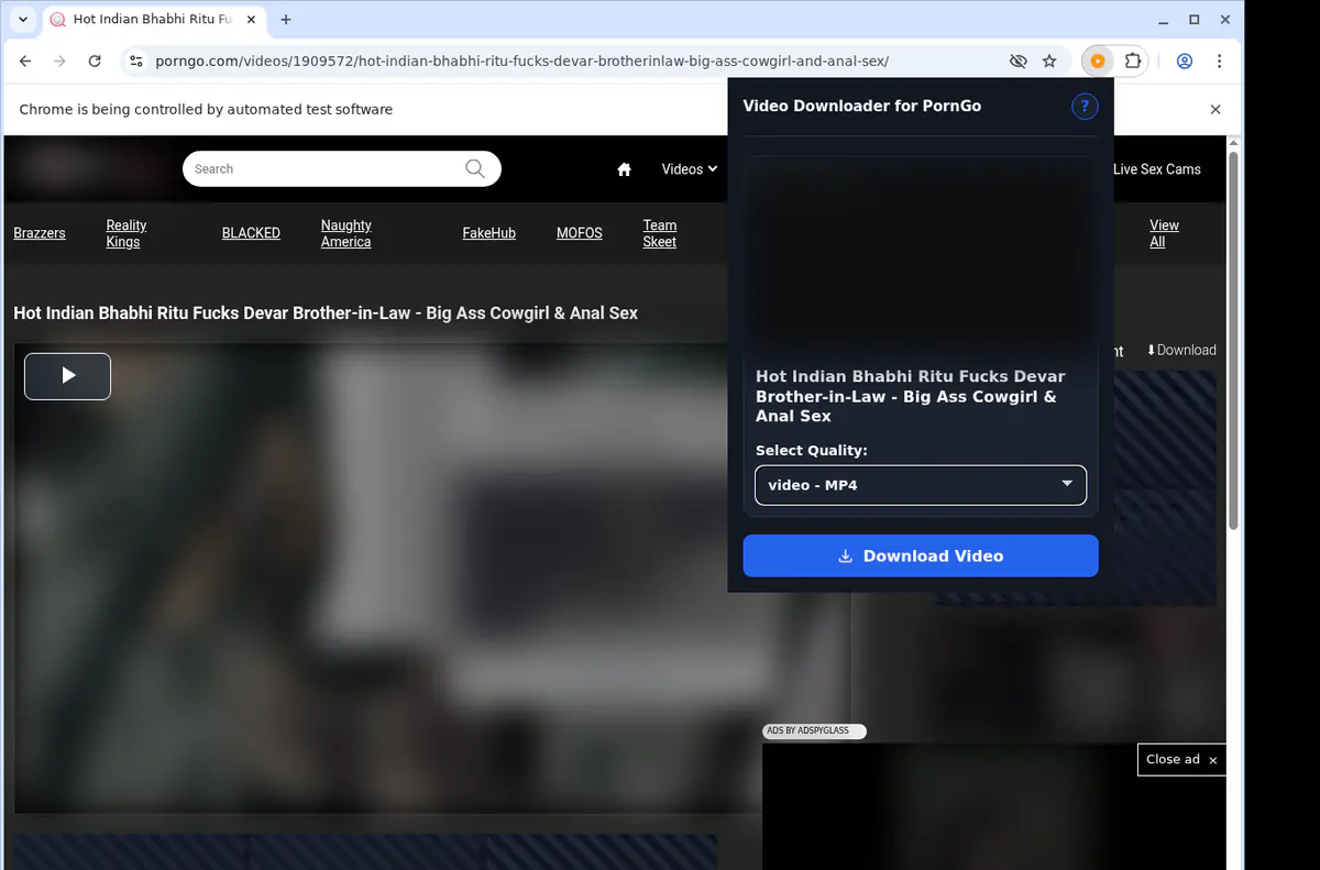 Porngo Video Downloader screenshot 3